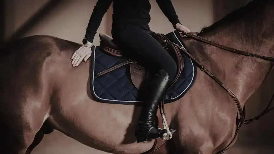 Sport w ramach Archicom Collection Club